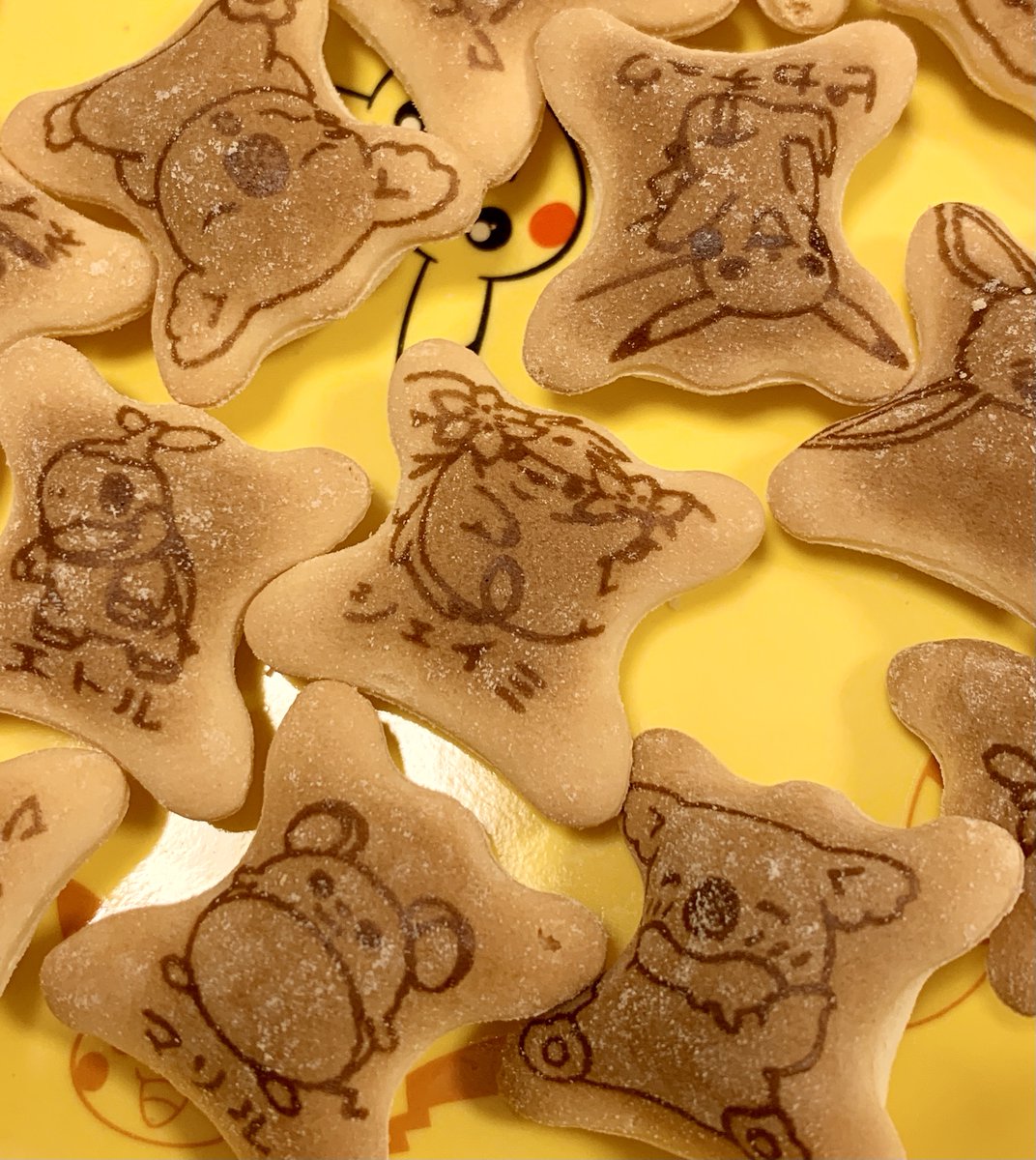 ポケモンセンターnakayama على تويتر コアラとマーチ With ポケモン この子は