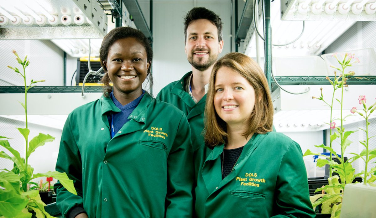 AfricaInco's tweet photo. We are proud that @imperialcollege is one of our network members! Learn about Imperial #Enterprise Division, Enterprise Lab, Advanced Hackspace and White City #Incubator! They support #startups, #research and #innovation in #Europe and #Africa: https://t.co/HGsbLpOWFY https://t.co/a8ykCoL0Vn