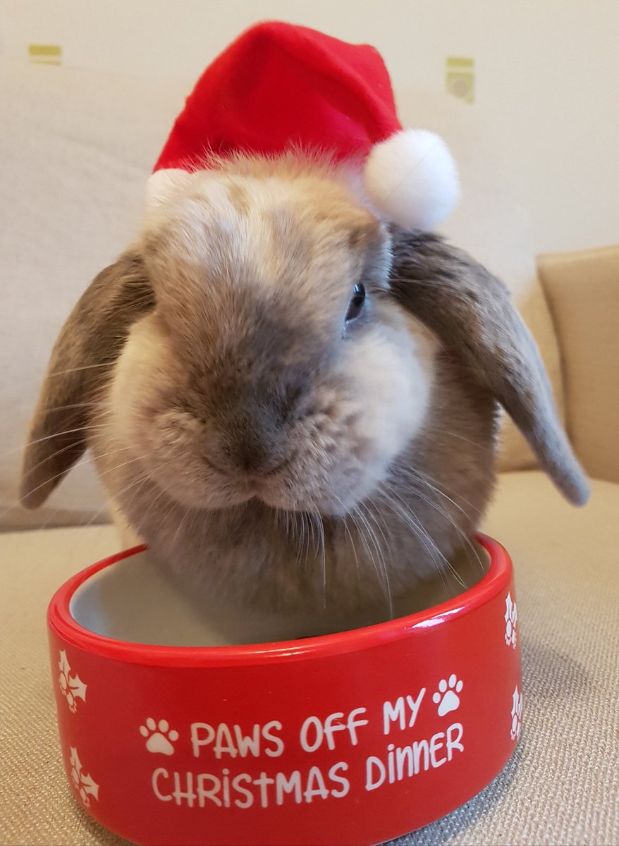 pinkwinkgirly's tweet image. Wishing for a merry #Techmass