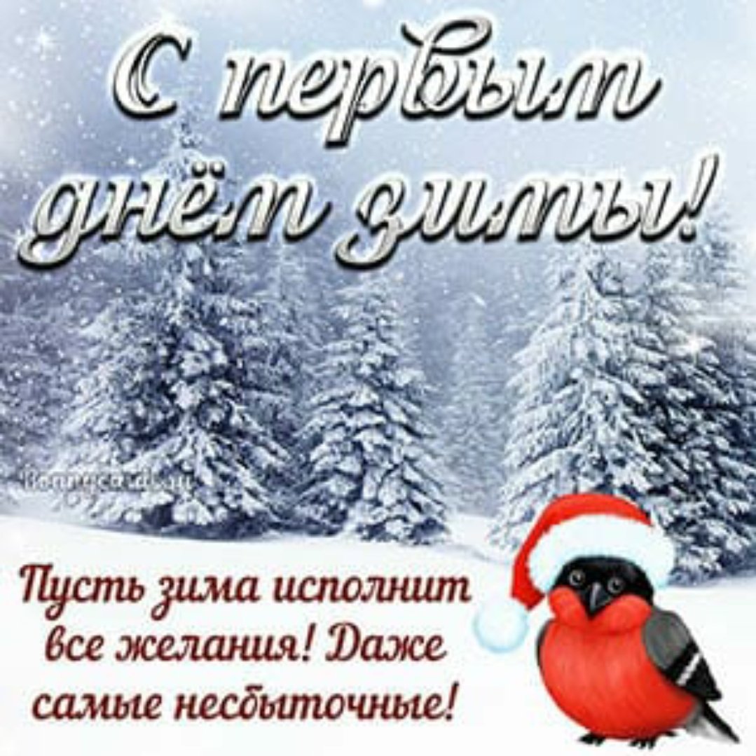 Красивые пожелания с добрым зимним днем