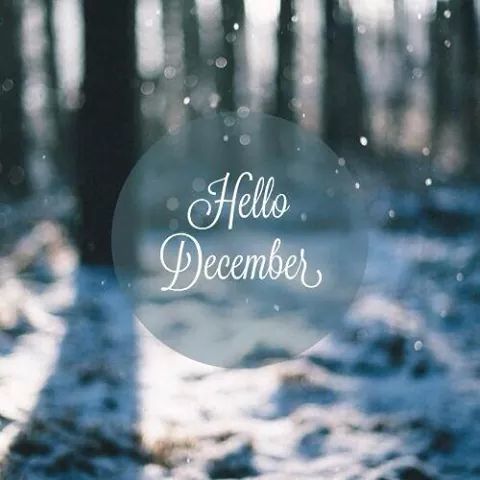 tumblr winter love quotes