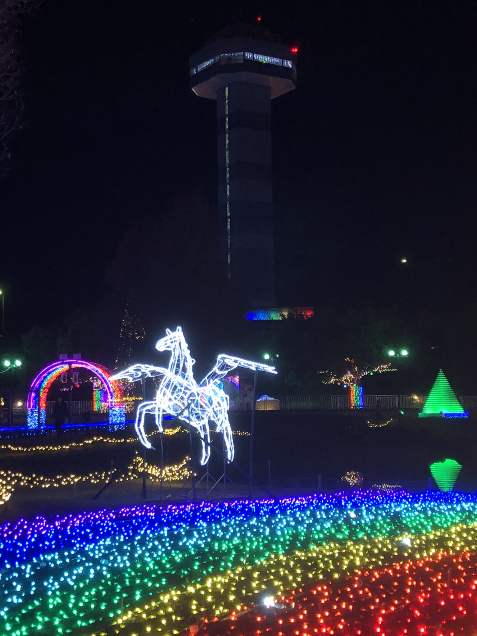 フラさん 海津の木曽三川公園にフラ っと 木曽三川公園 イルミネーション T Co Uw64kknvpb Twitter