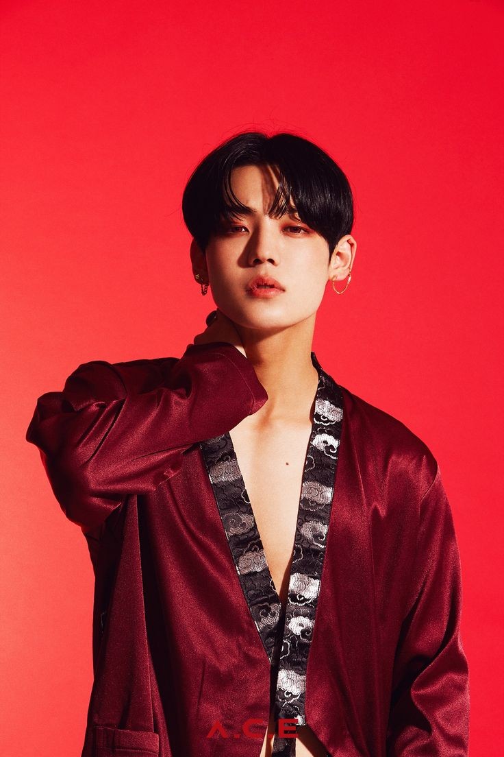 • Stage Name: Chan ( 찬 ) • Real Name: Kang Yoochan • Nationality: Korean• Height: 1,77• Birthday: 1997/12/31• Position in the group: main vocalist and maknae