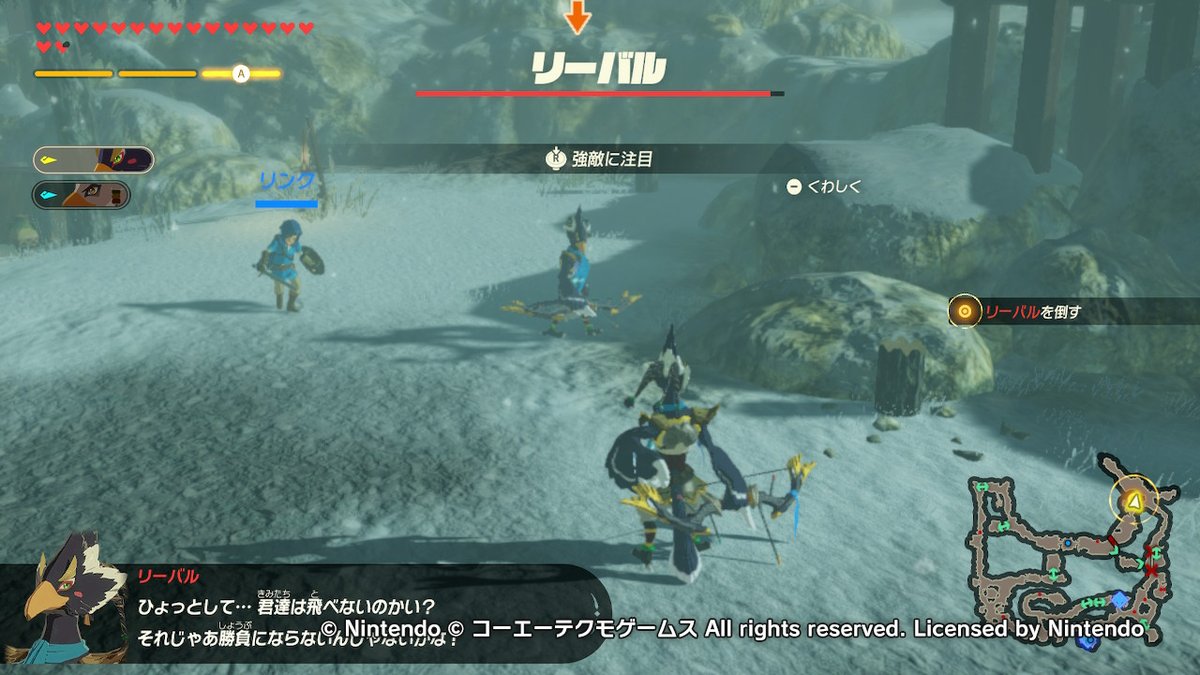 サファイア リーバルvsリーバル ゼルダ無双 ゼルダの伝説 Zelda Nintendoswitch