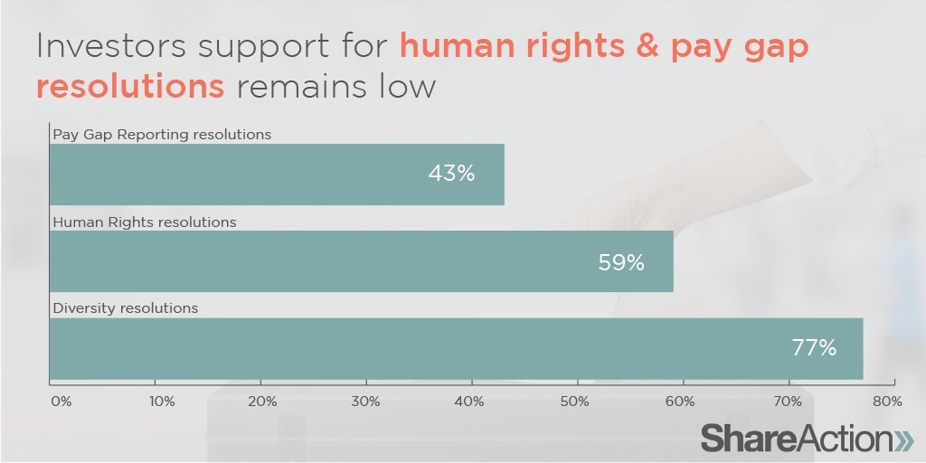 #8: Support for diversity resolutions is higher than for those on human rights and pay gaps