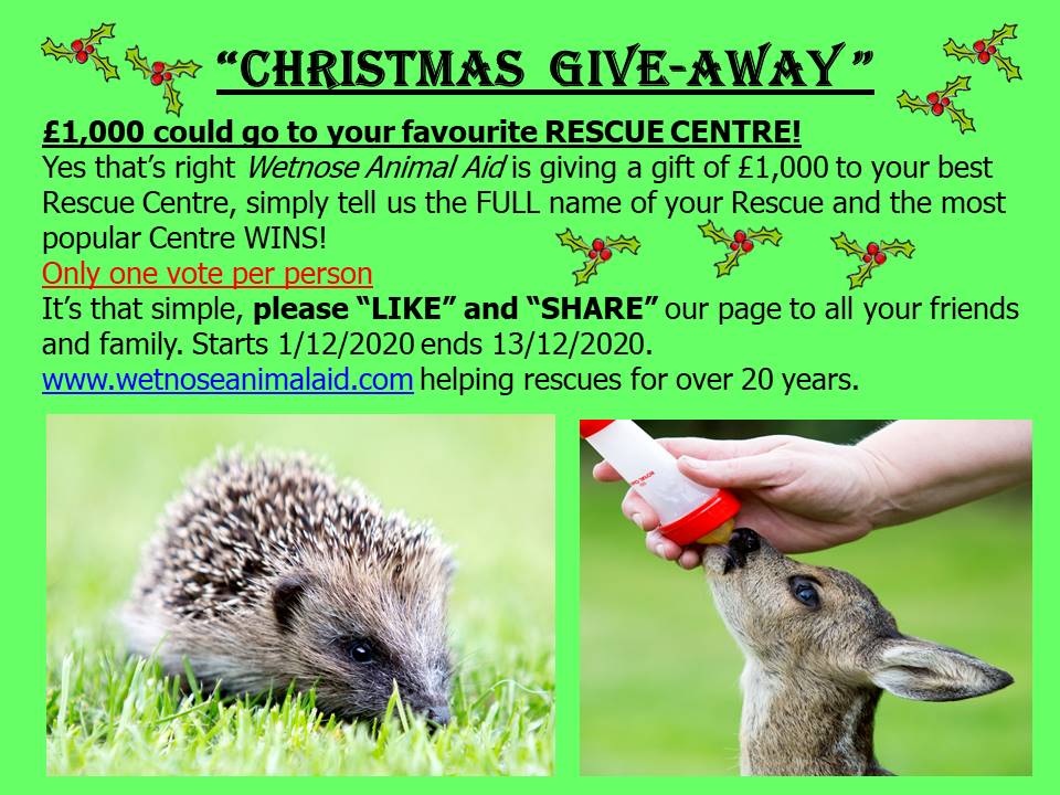 WetnoseDay's tweet photo. CHRISTMAS RESCUE GIVE-AWAY  
Only one vote per person pls “LIKE” &amp; “SHARE” our page
Wetnose Animal Aid is giving away £1,000 to the best UK Rescue Centre simply tell us FULL name of the Rescue &amp; the most popular Centre WINS!
@WeatherDog3 @hells_bells2207 @Ethical_Ins https://t.co/oNWXSFYSg2