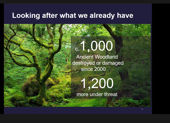 RewildingB's tweet photo. "Planting &amp; creating is only one part of it. We’ve seen irreplaceable ancient woodland damaged. It’s madness to focus on the creation of the new, but to ignore the destruction of the old. It undermines nature recovery +net zero targets" ~ Dr Darren Moorcraft, CEO @WoodlandTrust https://t.co/0mI3y3MM8c