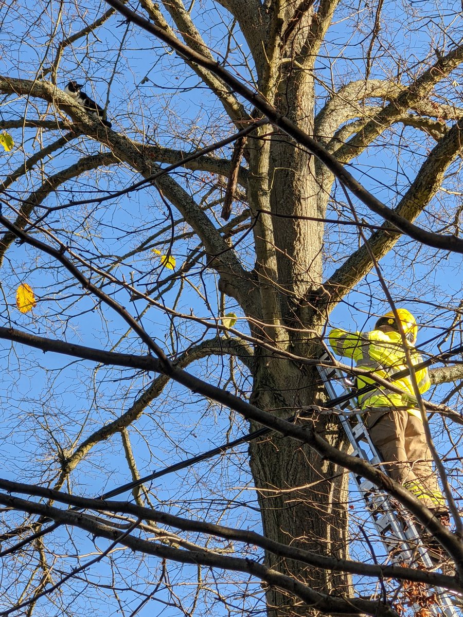 STEREOTYPE DRAMA UNFOLDING IN  #HARTLEYWINTNEY