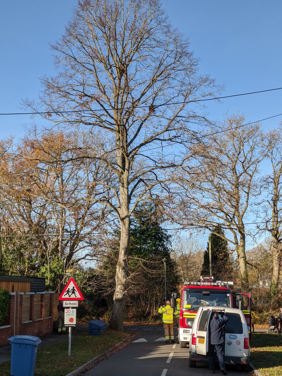 STEREOTYPE DRAMA UNFOLDING IN  #HARTLEYWINTNEY