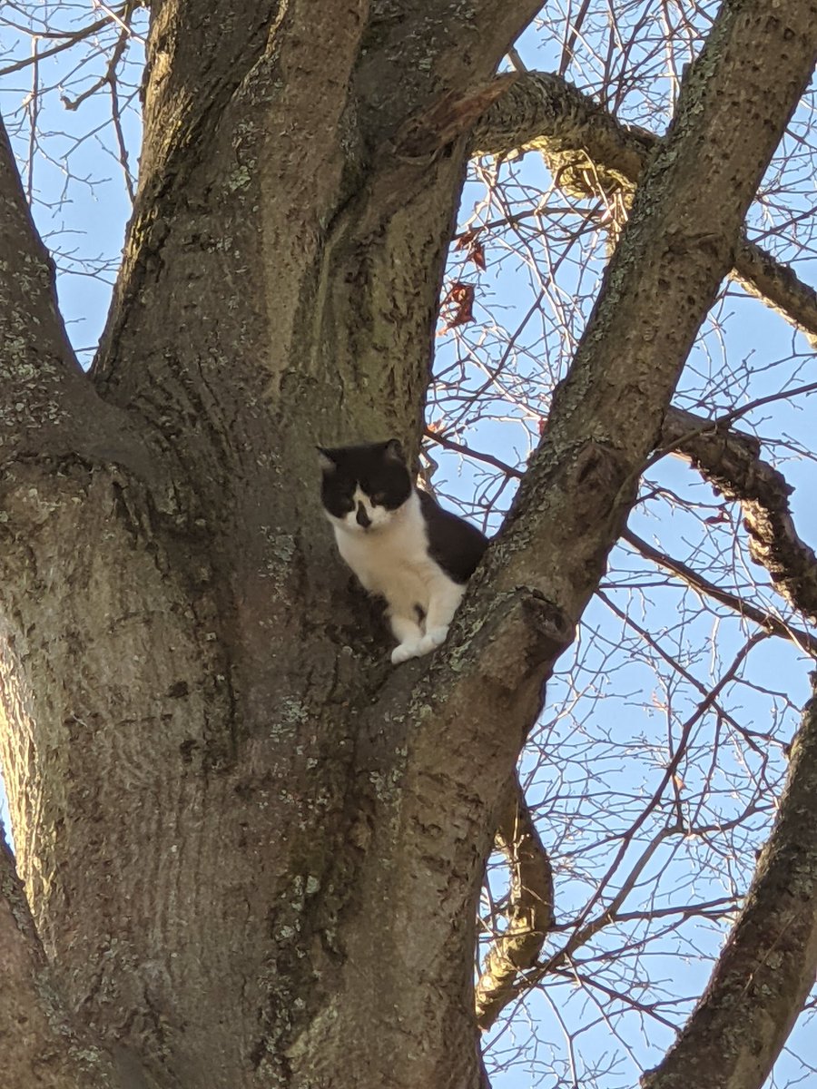 STEREOTYPE DRAMA UNFOLDING IN  #HARTLEYWINTNEY