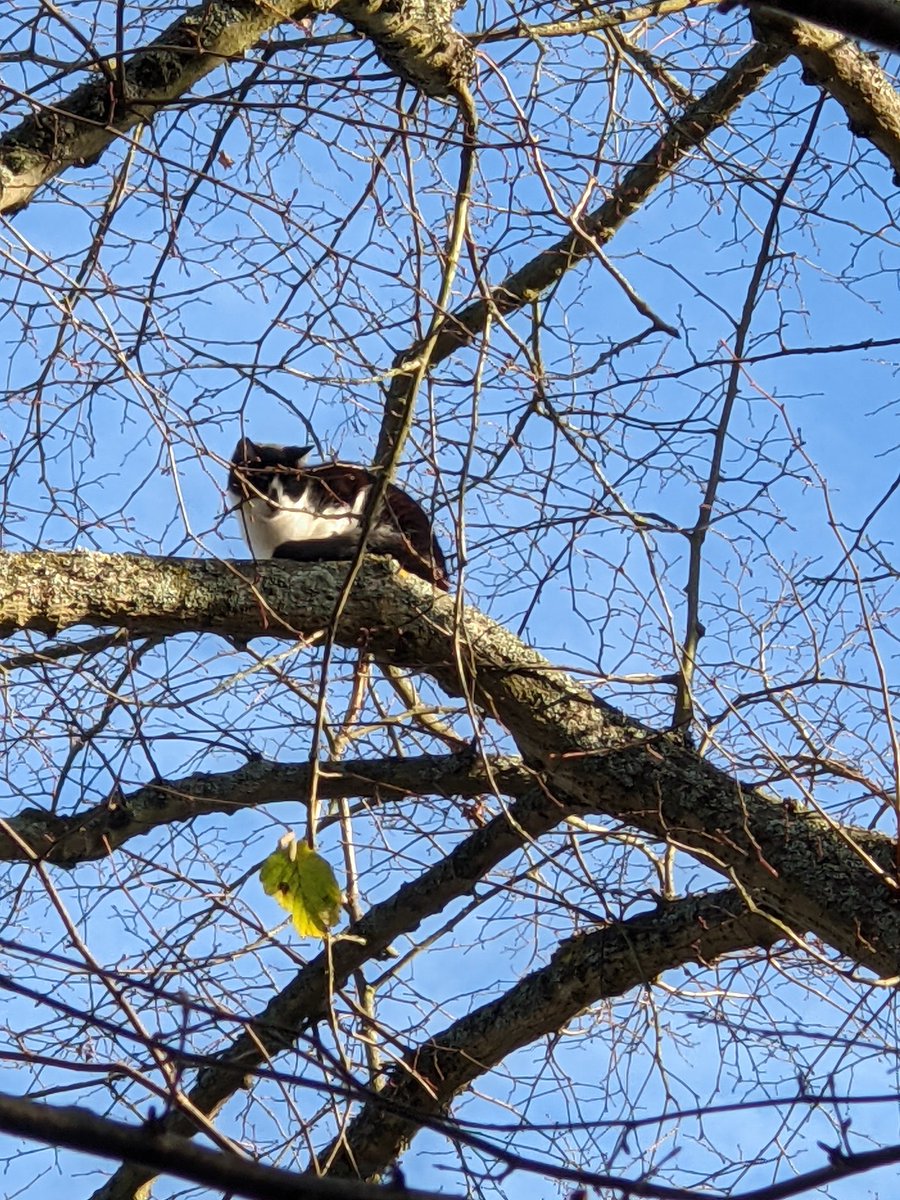 STEREOTYPE DRAMA UNFOLDING IN  #HARTLEYWINTNEY