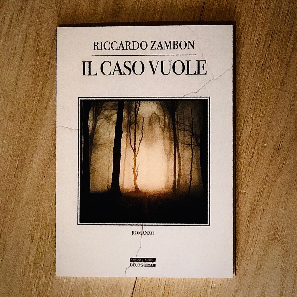 wallano's tweet photo. Recensione Il caso vuole di Riccardo Zambon https://t.co/4QzRsy4w97 #libri #ebook #lettureconsigliate #storie #caso #recensioni #libridaregalare #consiglidilettura #romanzo #NOIR #boschi #autunno https://t.co/c7hTyx3bVb