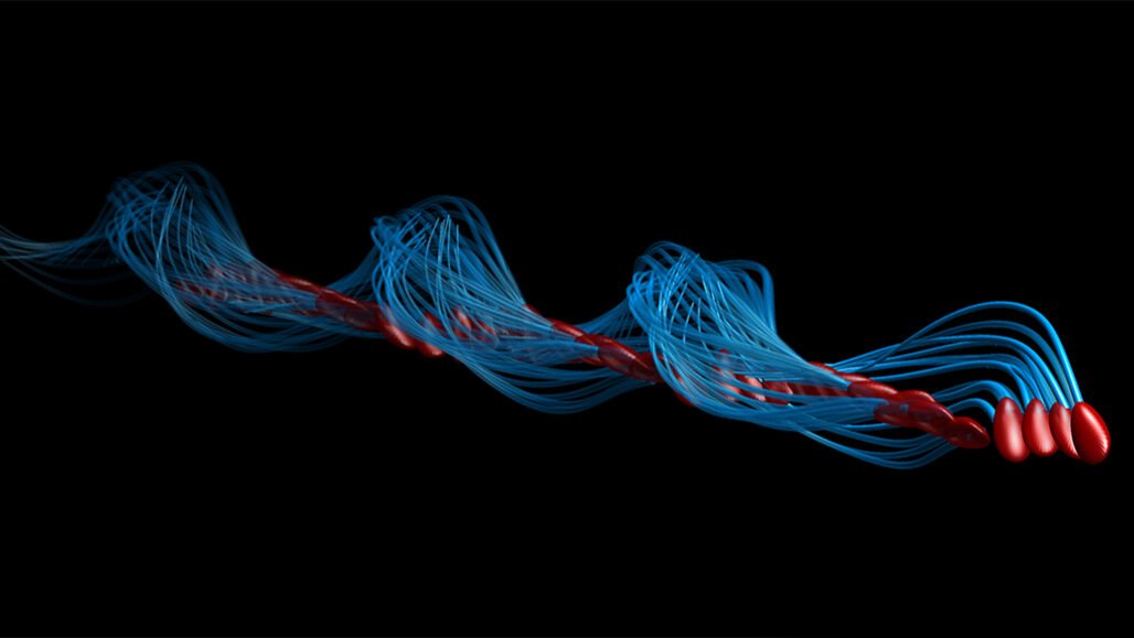 Assessing Male Reproductive Toxicity during Drug Development, To read complete article please click on the link given: bit.ly/39wb8Qw