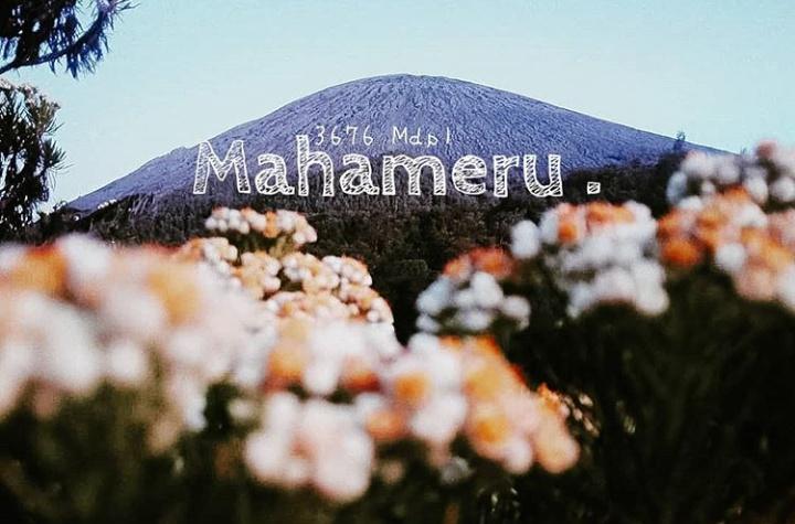 lintang_ayoe's tweet photo. #prayforsemeru 
Semoga lekas lerem yaa, salam lestari dari pemujamu Maha Meru 😇 https://t.co/At77iieVrd