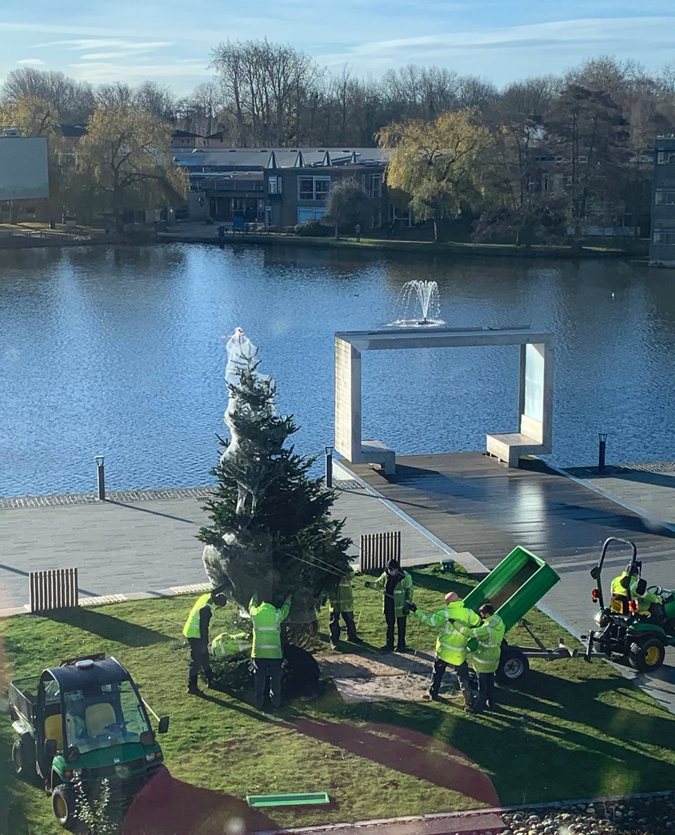 Excitement! A Christmas tree is going up on Greg’s Place! 🎄