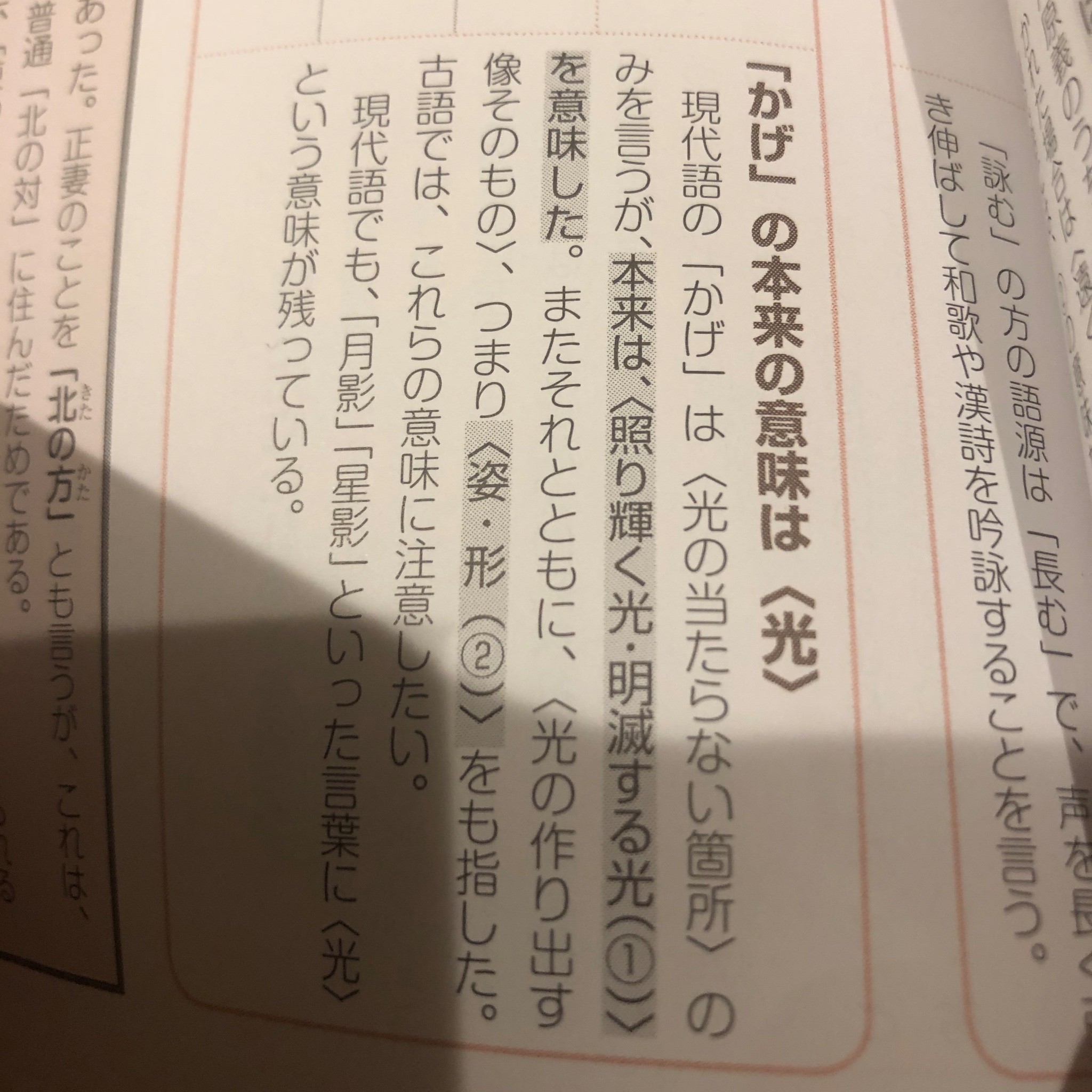かげかげ Tkg Oishii Twitter