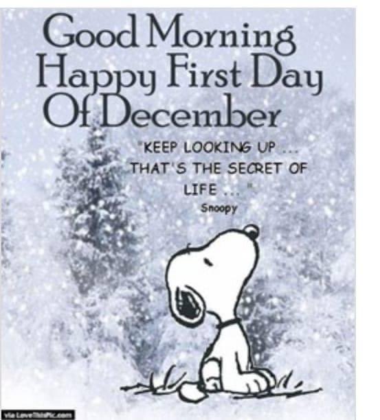 SQL_bliss's tweet image. Have a happy day