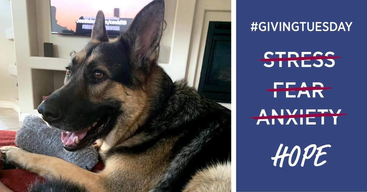 RedRoverOrg's tweet photo. "I cannot thank RedRover enough for all your help, support, and care!" When Debbie got sick with COVID-19 &amp; needed boarding for her beloved Simbré, she turned to us. Your #GivingTuesday gift can make a difference for more animals when they need it most: https://t.co/27fjcfN2q7 https://t.co/DDnsDlUNPN