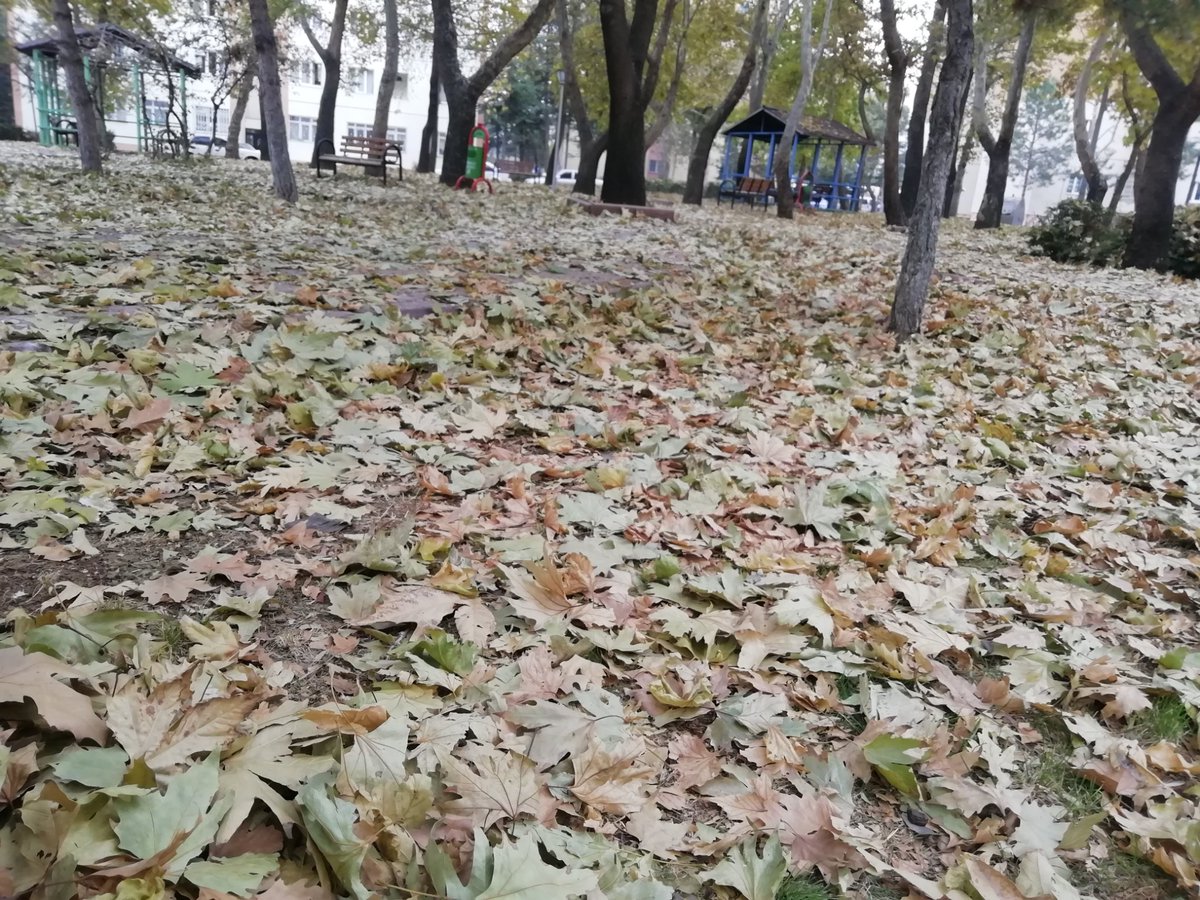 Saudade777777's tweet photo. Mevsimi olmayan mekanlar.. https://t.co/nt17N2keeR