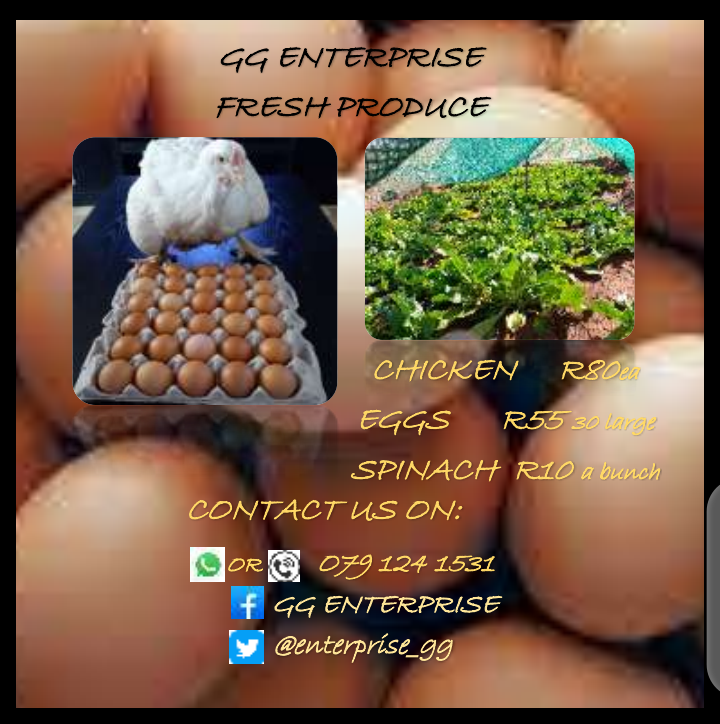 enterprise_gg tweet picture