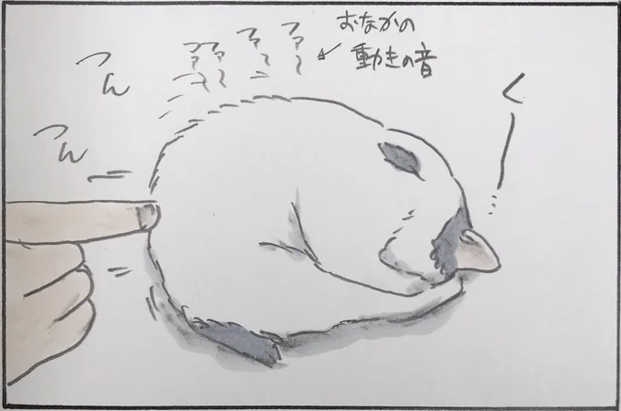 『からにこもる』 