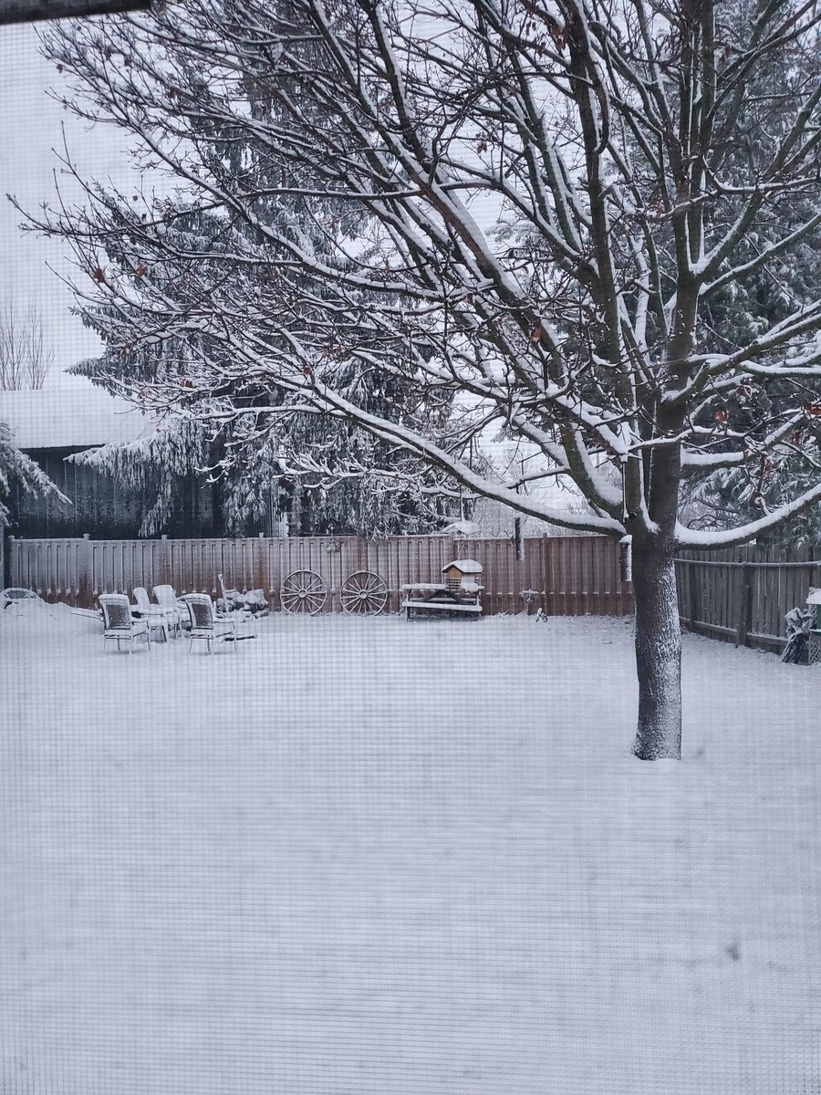 Beautiful morning here in sw Ontario #mothernature