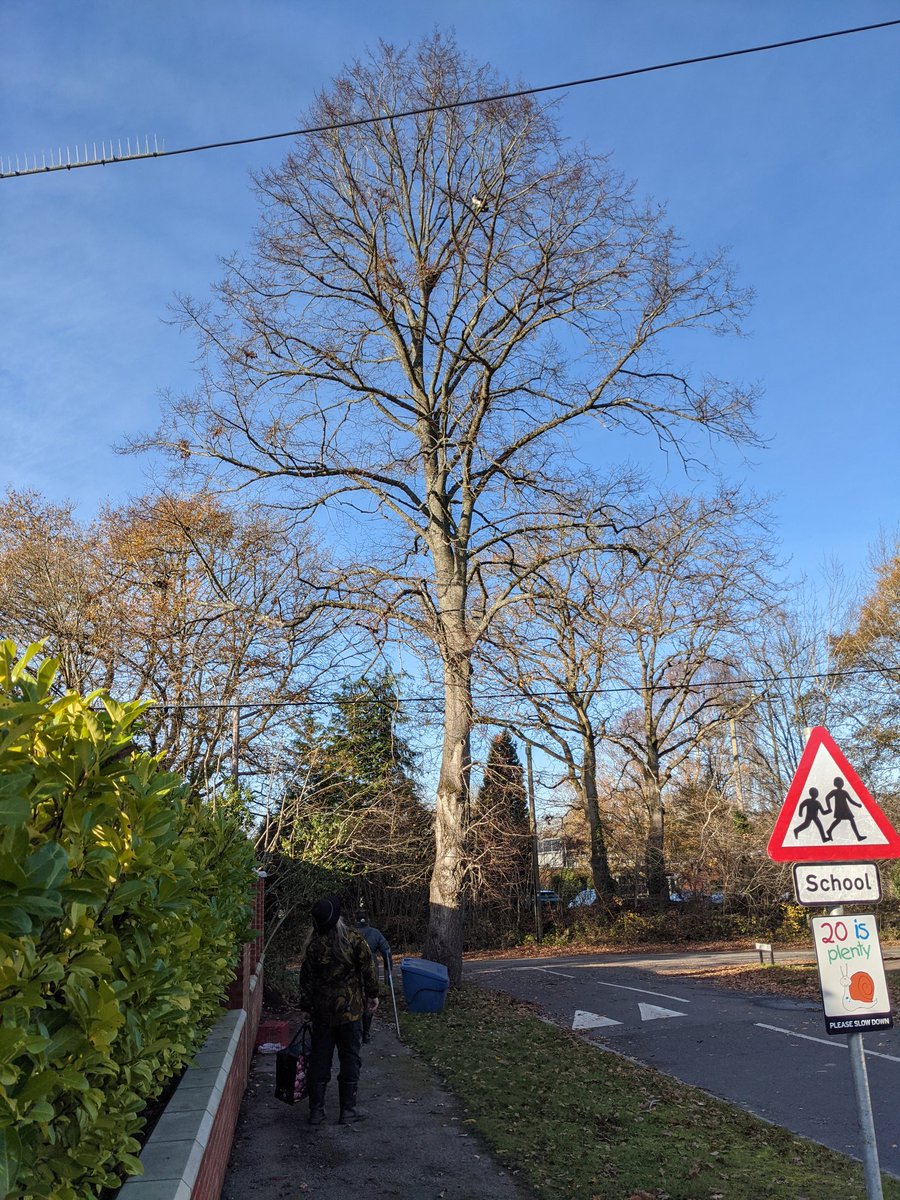 Owners have arrived,  #timing. Apparently his name is Felix