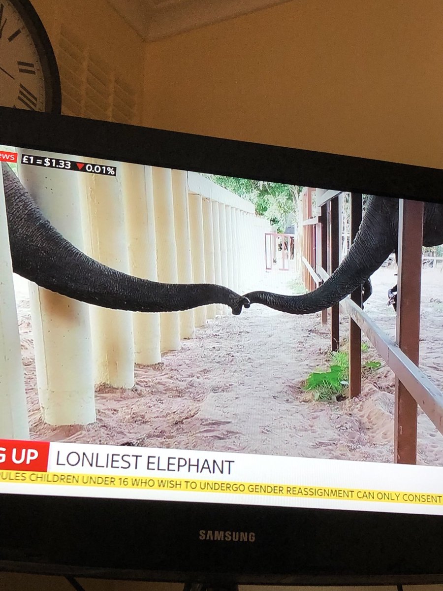 concernedcitz22's tweet photo. Standards are slipping in education eh. Even ⁦@SkyNewsBreak⁩ can’t spell 

What do you make of that ⁦⁦@cher⁩ https://t.co/O82zwV5aRX