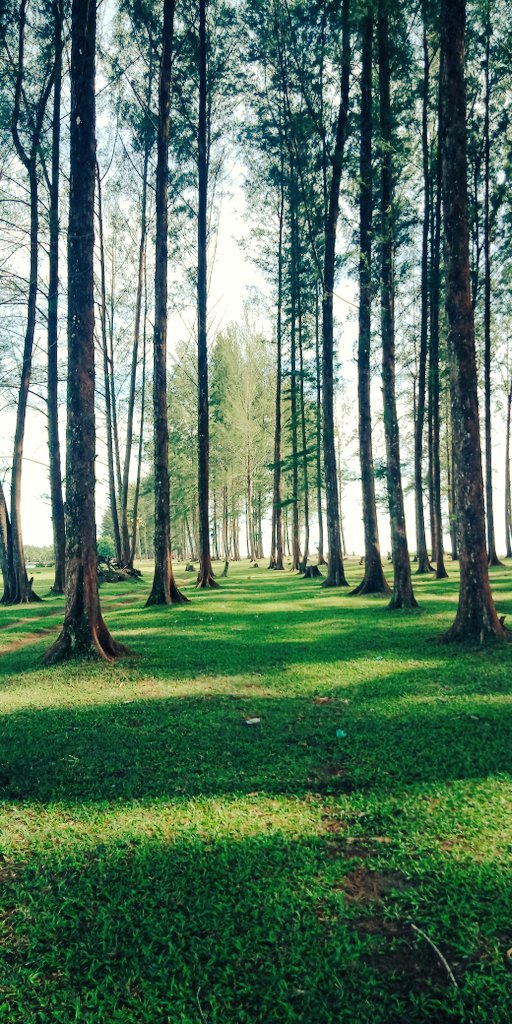 Di pesisir pantai barat selatan 
Pantee lhok raja 
Meulaboh