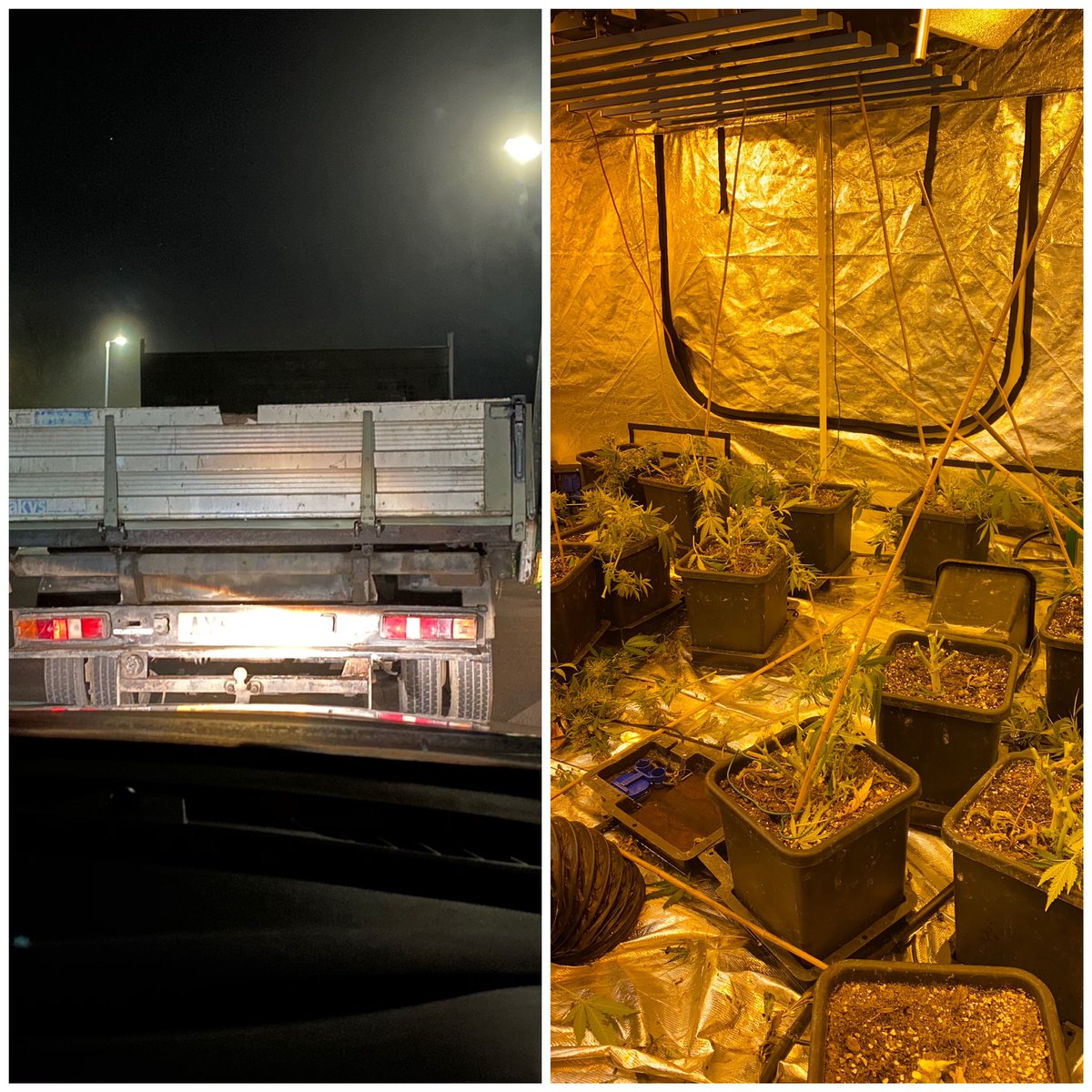 SpcChief's tweet image. Busy night single crewed ,vehicle taken of the road no insurance to finding a large cannabis factory