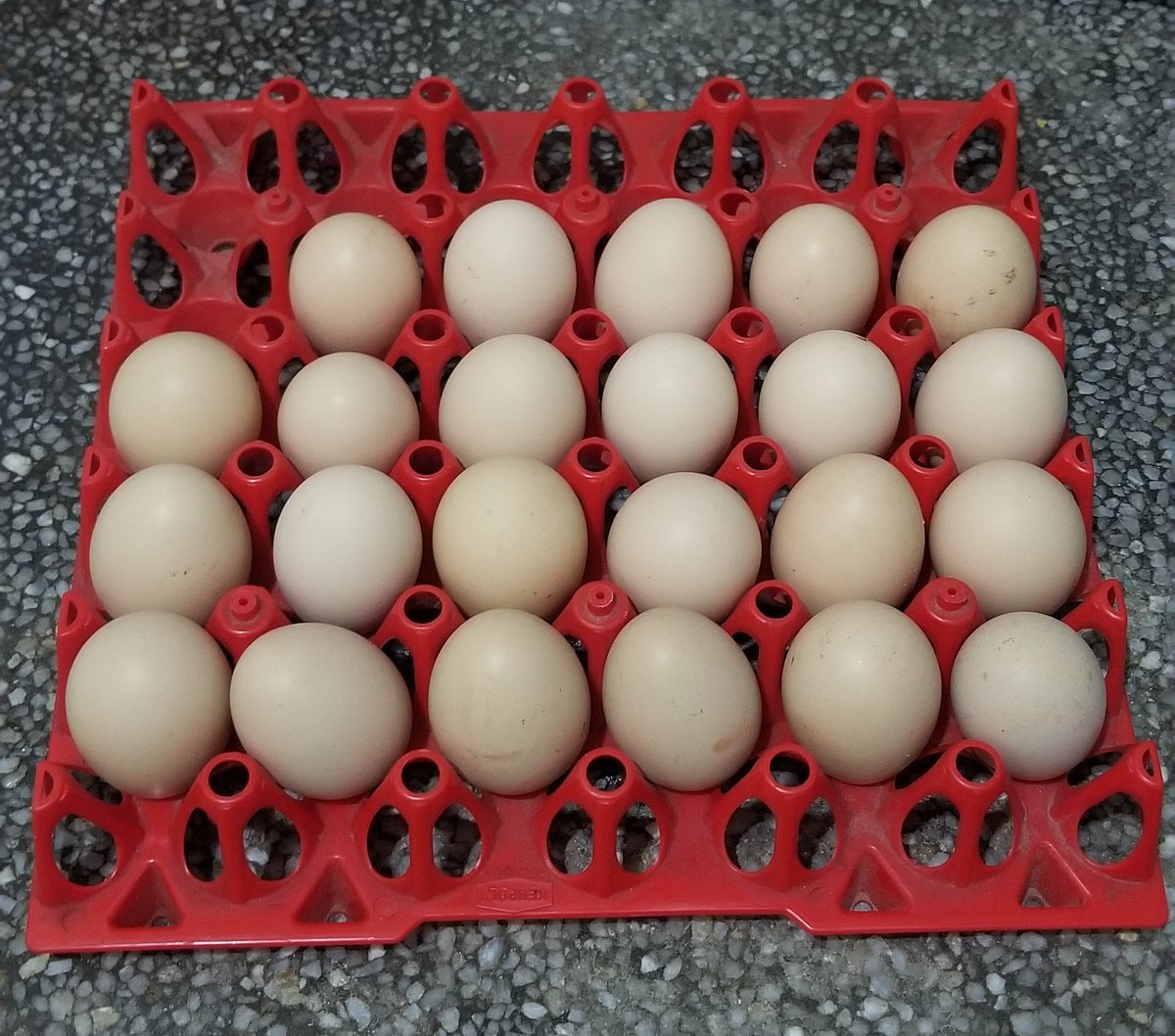 I love this life &ndash; bei  Imara Daima