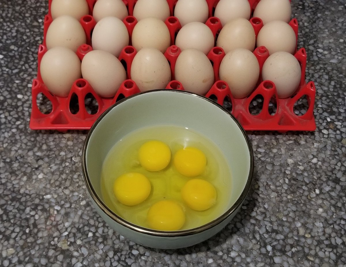 I love this life &ndash; bei  Imara Daima