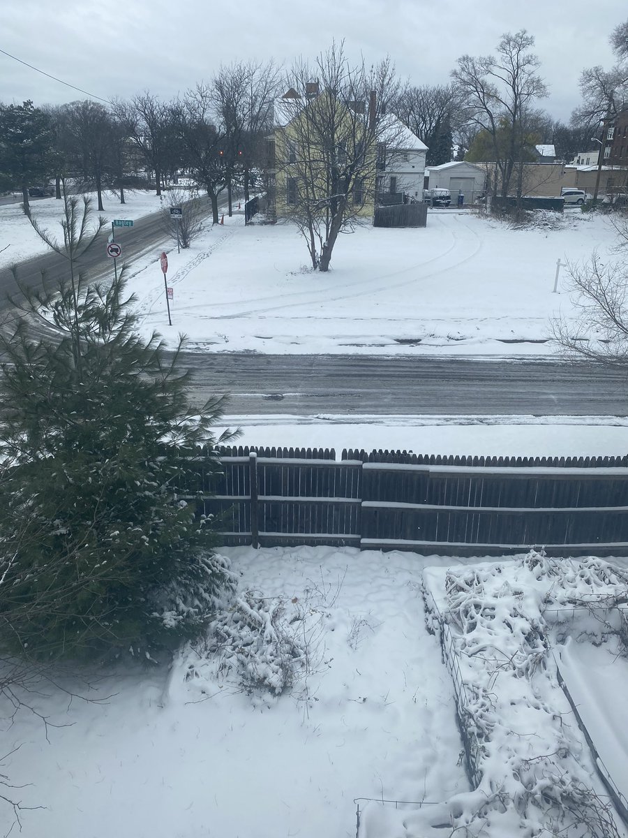 Oceanvs tweet picture