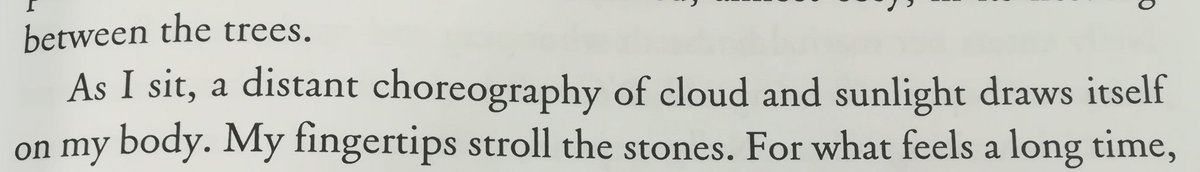 I'm sorry can you IMAGINE being able to put words together like this? I am the lady gaga meme right now, the one where she's all like "brilliant, amazing, spectacular" that's how I feel reading this rn. Art. Goddamn.