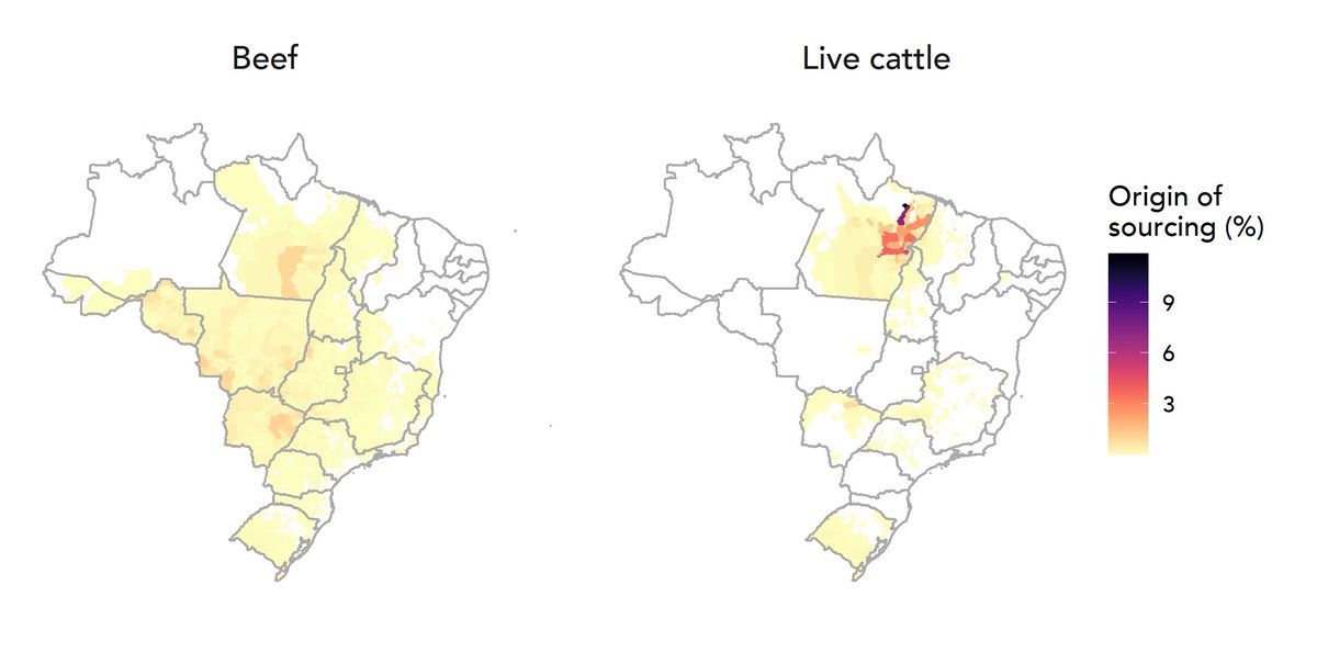 Nossos resultados também chamam a atenção para a exportação de gado vivo do Brasil. Mais de 200 mil animais por ano são exportados do estado do Pará - eles respondem por 3,9% das exportações brasileiras de gado em valor, mas representam 11,6% do risco de desmatamento.