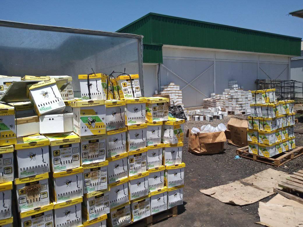 y de muestra un boton, estas fotos fueron tomadas la semana pasada en Quillota (Chile Central) 📸Krloz Schnaider