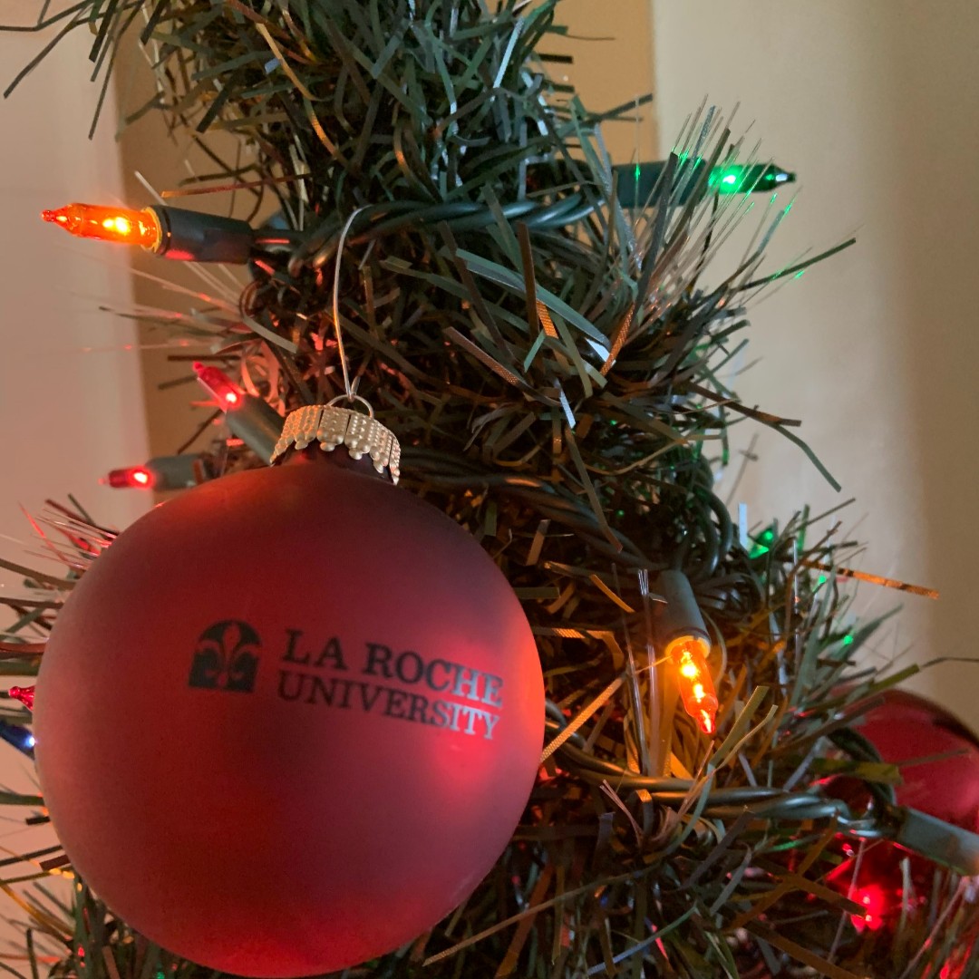 StudentDevelopm's tweet image. The countdown to Christmas is just getting started, but the countdown to the end of the semester and finals week is more important! You got this Redhawks!