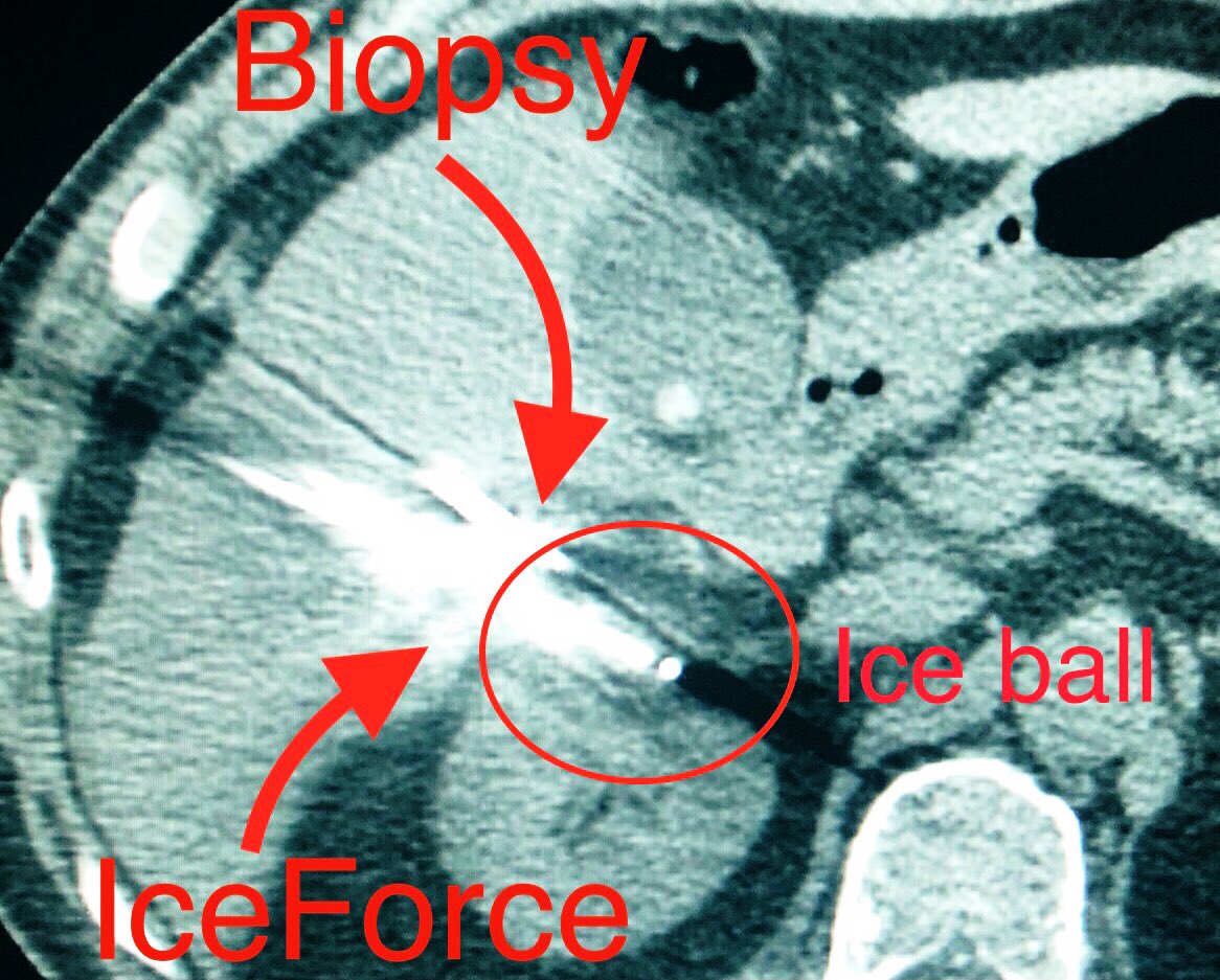 zachary masi tweet media