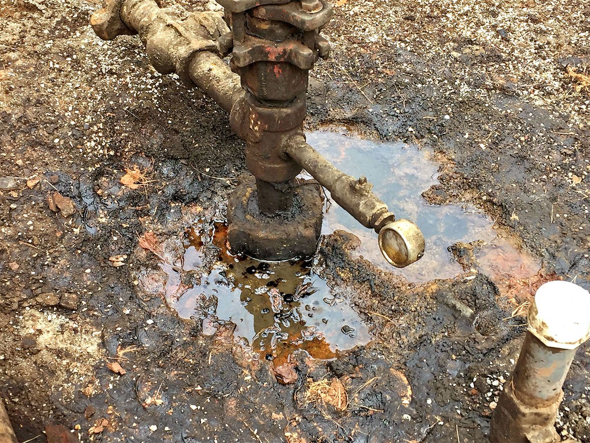2/ Why is this a problem?When left unsealed, wells can become pathways for oil, gas, or briny water to migrate into groundwater and soil, becoming a hazard for wildlife, livestock, and unsuspecting humans. Worse, an unknown number of unplugged wells leak methane.