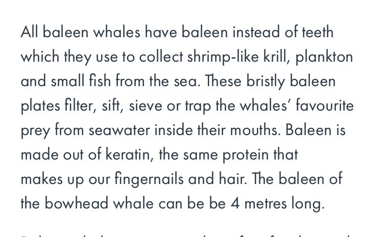 (sidenote: in the later victorian period, it was possible to use steel instead of baleen, which is the stuff that toothless whales use to filter out their food—one of the very few good things the industrial revolution did for the environment! modern corsets use plastic or steel.)