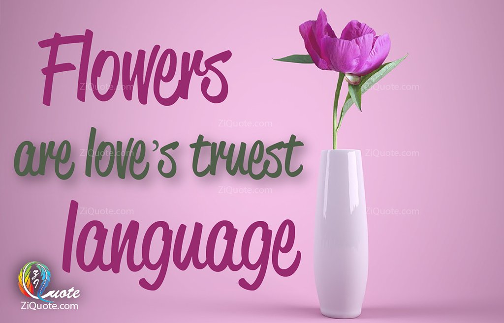 ZiQuot's tweet photo. Flowers are love's truest language.
.
https://t.co/grcm953Adk
#motivational #motivation #motivationalquotes #quotes #mindset #inspiration #goals #positivity #believe #success #inspirationalquotes #inspire #positivevibes #love #life #entrepreneur #quoteoftheday #selflove https://t.co/BHpAOtuifG
