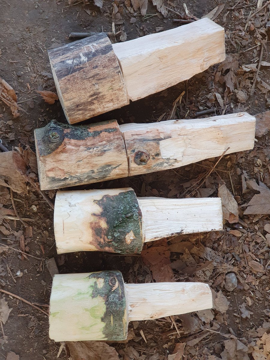 Wild Wood Learning tweet media