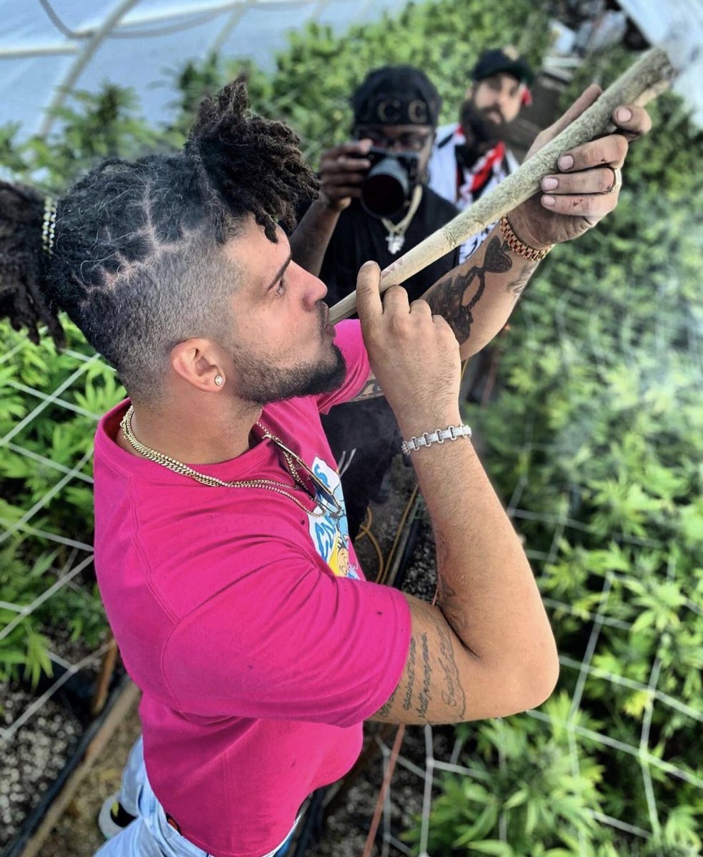 Planter’s Paradise! Smoke one 💨
#LegalizeIt #legalize #LEGALIZE2020 
Checkout the new single out now ft. <a href="/CollieBuddz/">Collie Buddz</a> on all platforms. #newmusic
open.spotify.com/album/1aNcWSH9…