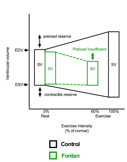 We already did exercise CMR with invasive pressure measurements to see that hemodynamics, even in well Fontan patients, differ from normals. Some of the ideas are further explored in an editorial with  @ShelbyKuttyMD  https://bit.ly/3fRRXSy&nbsp; 5/8