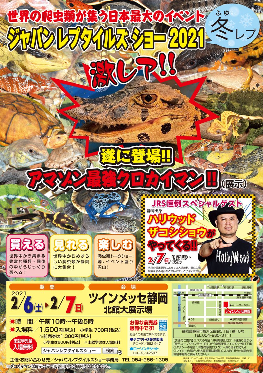 五十嵐淳 このイベントにザコシショウさん呼ばれてますけど オファーの理由 静岡出身 なんですかね 爬虫類好き を公言している芸能人っていないんですかね