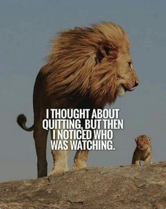 Nomsky13's tweet photo. #endSARs https://t.co/D8hevs6t1r