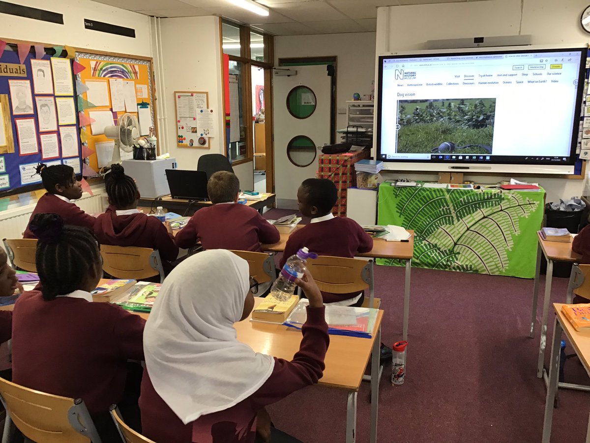 MissMHMPS's tweet photo. Year 6 @HerbMorrPriSch furthered their learning from yesterday by looking at how different animals see colour. We used the @NHMCollection website to help us explore the topics raised on Explorify further @MissWardHMPS #HMPSScience https://t.co/n9fW447OGr