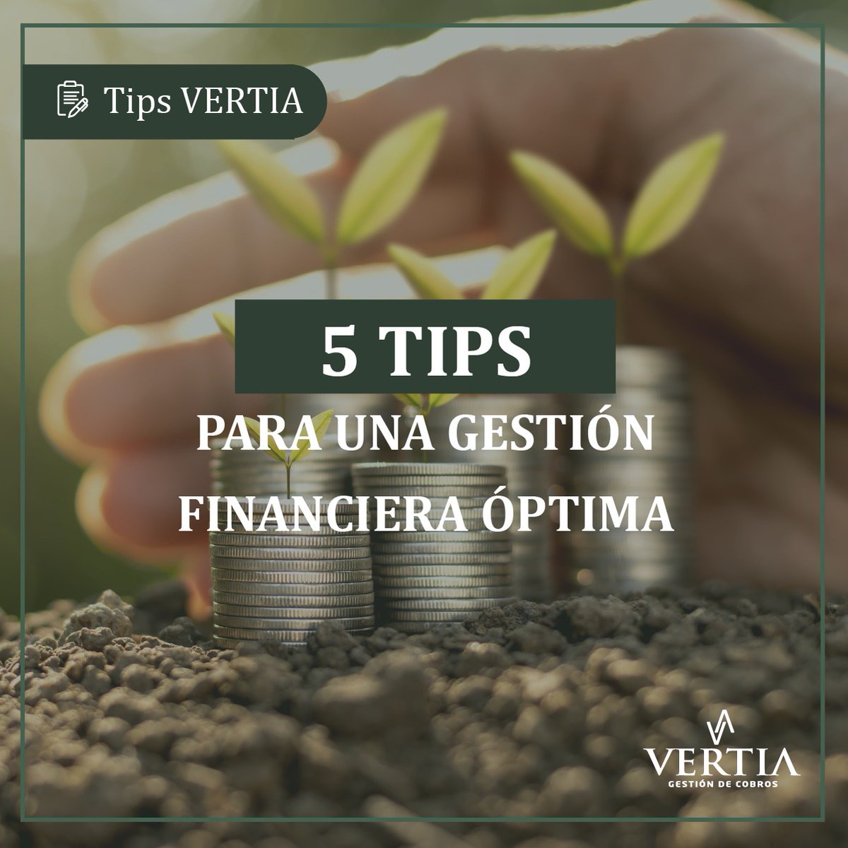 Vertiado's tweet photo. Llevar una gestión financiera óptima es todo un desafío en la actualidad.
⁣⁣
🟢Para más información sobre estos temas ingresa a https://t.co/FYtqHHLDeH

#VertiaGestionDeCobros #GestionDeCobros #RepublicaDominicana https://t.co/xEdIxEjoym