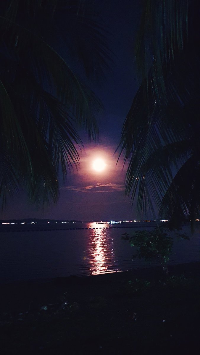 Azfarism's tweet image. Was going to cocoon and watch Netflix but fought the urge and went for a run instead. Totally worth it.