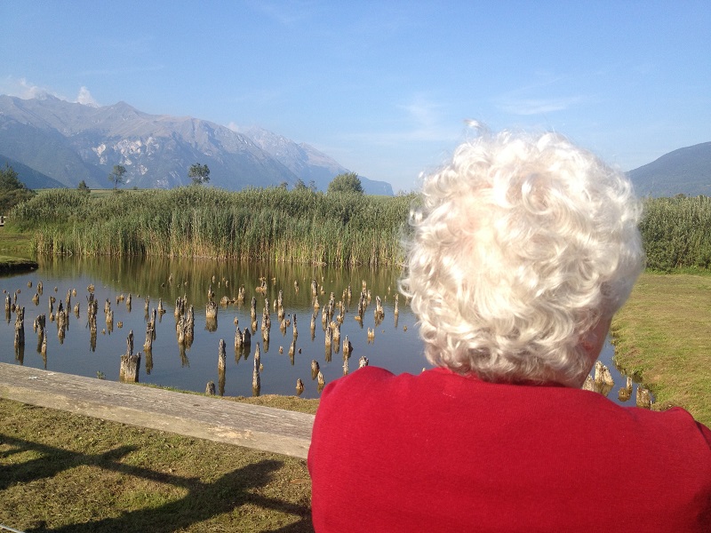 #Alzheimer #tesserememoria #MuseumForAll #chiusimanonfermi #laculturacura #laculturanonsiferma
Il progetto "T-essere memoria. Il museo incontra l'Alzheimer" è stato inserito fra i 100 progetti dedicati all'invecchiamento creativo.💜
facebook.com/soprintendenza…